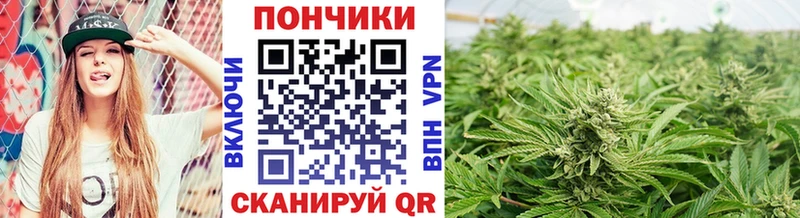 дарнет шоп  Поронайск  Марихуана ГИДРОПОН 